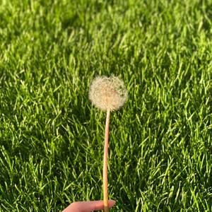 Meet your Posher, Bình